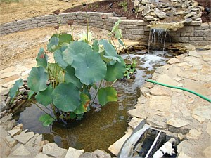 Water Features