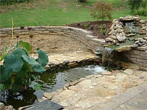 Water Features