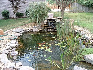 Water Features